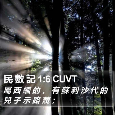民 數 記 1:6 CUVT Bible Verse Image