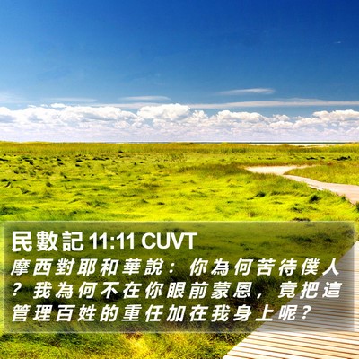 民 數 記 11:11 CUVT Bible Verse Image