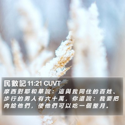 民 數 記 11:21 CUVT Bible Verse Image
