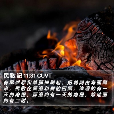民 數 記 11:31 CUVT Bible Verse Image