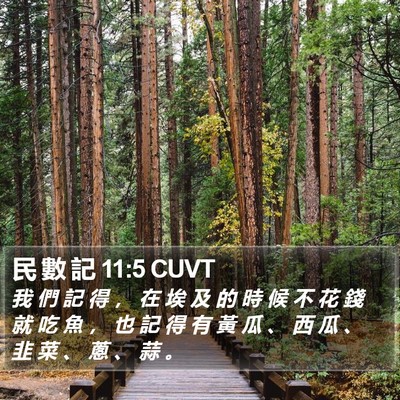 民 數 記 11:5 CUVT Bible Verse Image