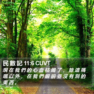 民 數 記 11:6 CUVT Bible Verse Image