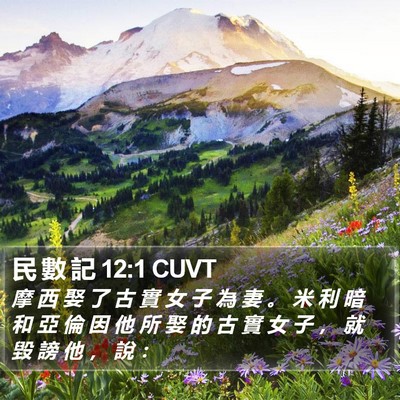 民 數 記 12:1 CUVT Bible Verse Image