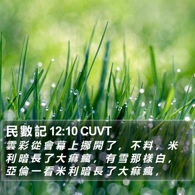 民 數 記 12:10 CUVT Bible Verse Image