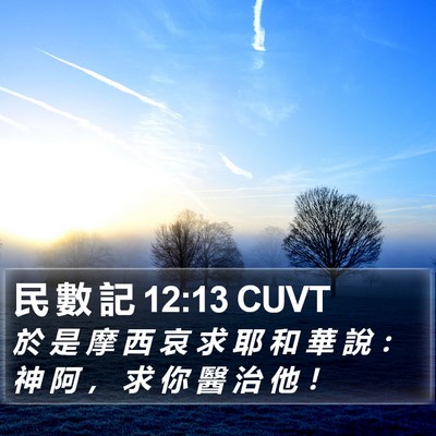 民 數 記 12:13 CUVT Bible Verse Image