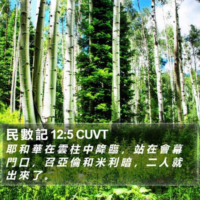 民 數 記 12:5 CUVT Bible Verse Image