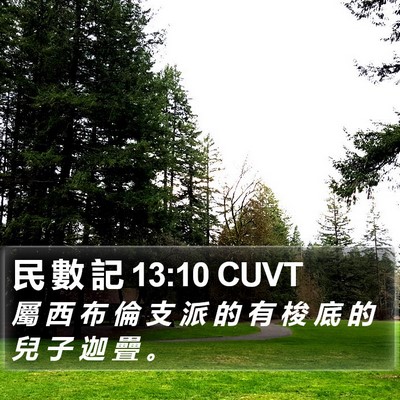 民 數 記 13:10 CUVT Bible Verse Image