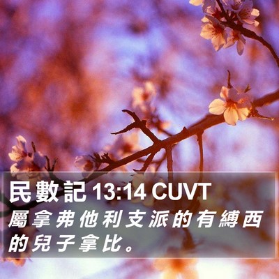 民 數 記 13:14 CUVT Bible Verse Image