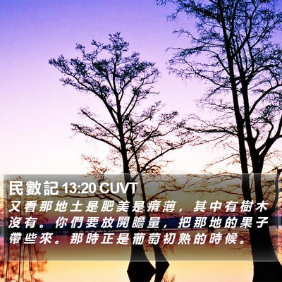 民 數 記 13:20 CUVT Bible Verse Image