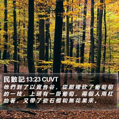 民 數 記 13:23 CUVT Bible Verse Image