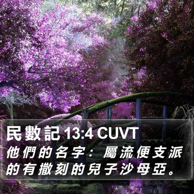 民 數 記 13:4 CUVT Bible Verse Image