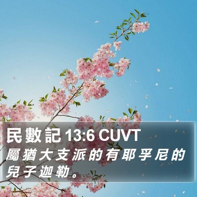 民 數 記 13:6 CUVT Bible Verse Image