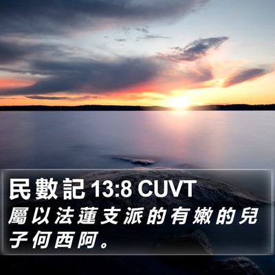 民 數 記 13:8 CUVT Bible Verse Image