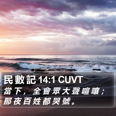 民 數 記 14:1 CUVT Bible Verse Image
