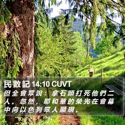 民 數 記 14:10 CUVT Bible Verse Image