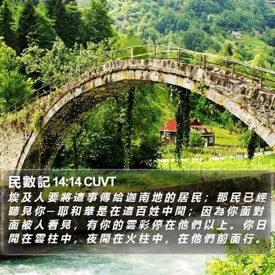 民 數 記 14:14 CUVT Bible Verse Image