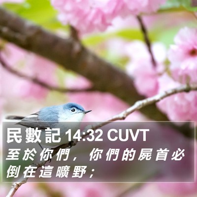 民 數 記 14:32 CUVT Bible Verse Image