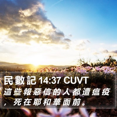 民 數 記 14:37 CUVT Bible Verse Image