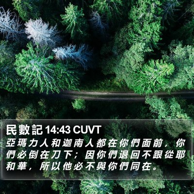 民 數 記 14:43 CUVT Bible Verse Image
