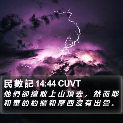 民 數 記 14:44 CUVT Bible Verse Image