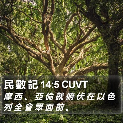 民 數 記 14:5 CUVT Bible Verse Image