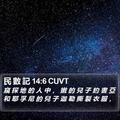 民 數 記 14:6 CUVT Bible Verse Image