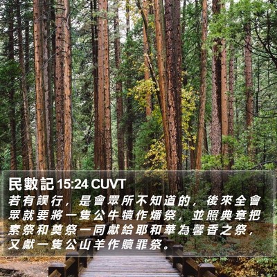 民 數 記 15:24 CUVT Bible Verse Image