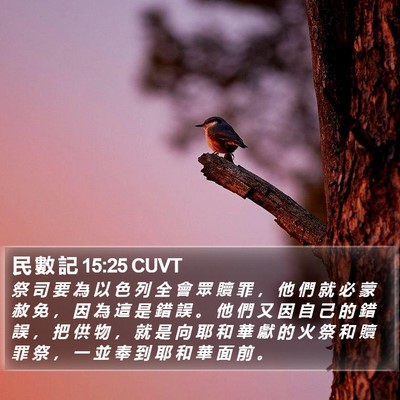 民 數 記 15:25 CUVT Bible Verse Image