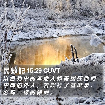 民 數 記 15:29 CUVT Bible Verse Image