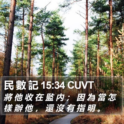 民 數 記 15:34 CUVT Bible Verse Image