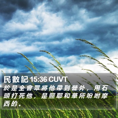民 數 記 15:36 CUVT Bible Verse Image