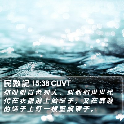 民 數 記 15:38 CUVT Bible Verse Image
