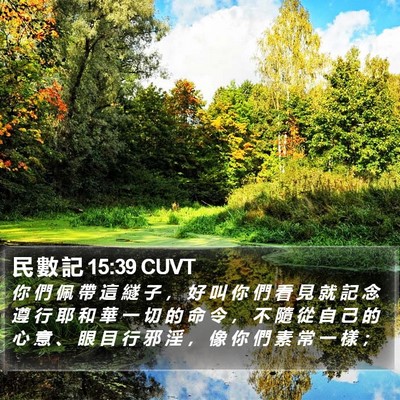 民 數 記 15:39 CUVT Bible Verse Image