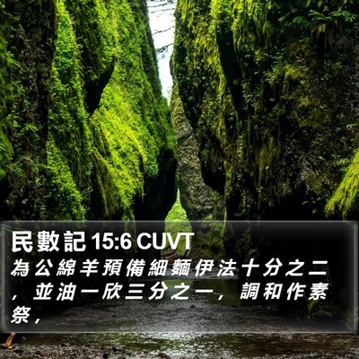 民 數 記 15:6 CUVT Bible Verse Image