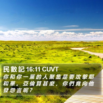 民 數 記 16:11 CUVT Bible Verse Image