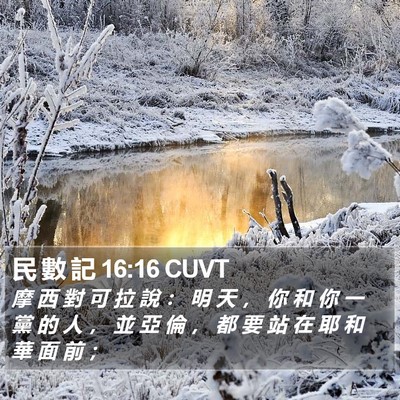 民 數 記 16:16 CUVT Bible Verse Image