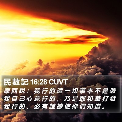 民 數 記 16:28 CUVT Bible Verse Image