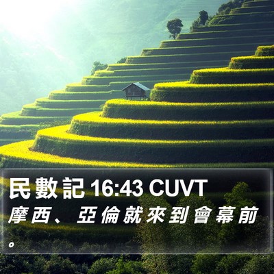 民 數 記 16:43 CUVT Bible Verse Image