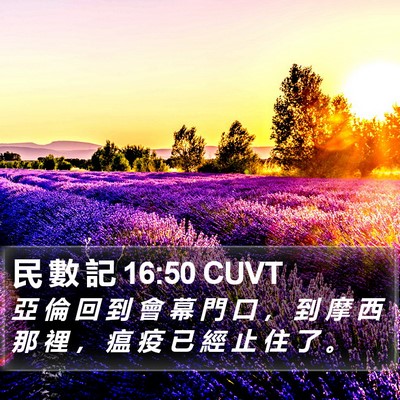 民 數 記 16:50 CUVT Bible Verse Image