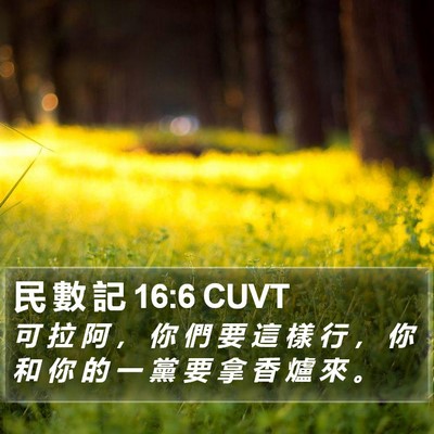 民 數 記 16:6 CUVT Bible Verse Image