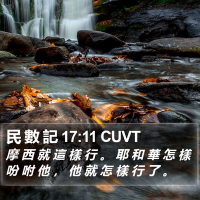 民 數 記 17:11 CUVT Bible Verse Image