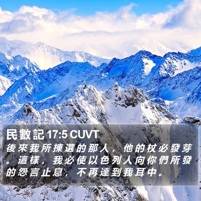民 數 記 17:5 CUVT Bible Verse Image