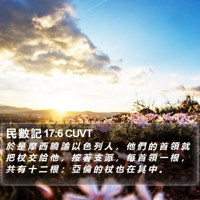 民 數 記 17:6 CUVT Bible Verse Image