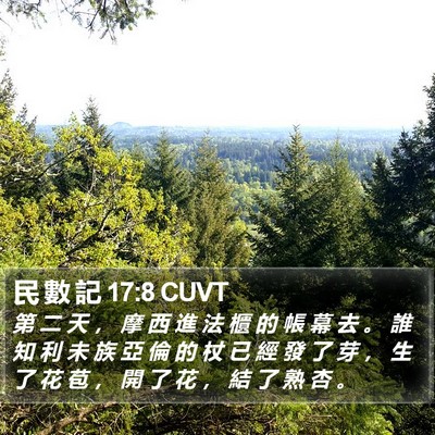 民 數 記 17:8 CUVT Bible Verse Image