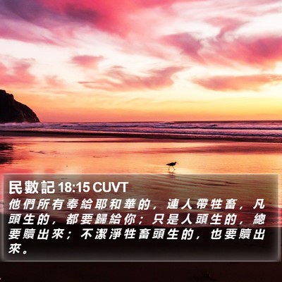 民 數 記 18:15 CUVT Bible Verse Image