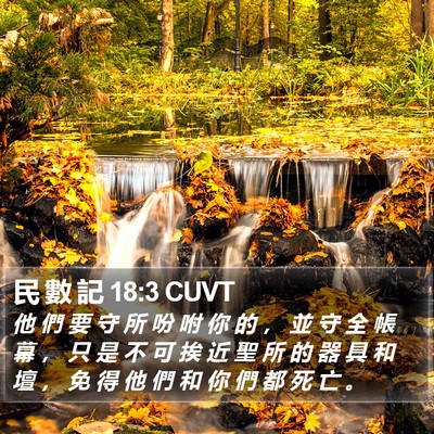 民 數 記 18:3 CUVT Bible Verse Image