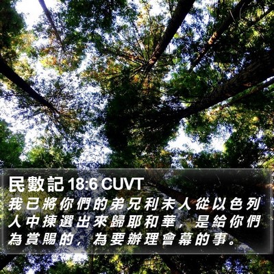 民 數 記 18:6 CUVT Bible Verse Image