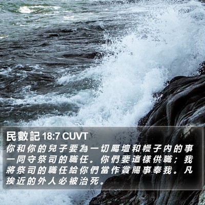民 數 記 18:7 CUVT Bible Verse Image
