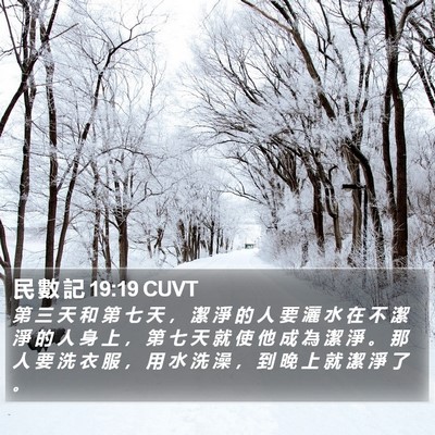 民 數 記 19:19 CUVT Bible Verse Image