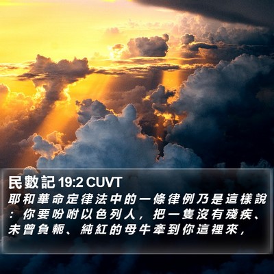 民 數 記 19:2 CUVT Bible Verse Image